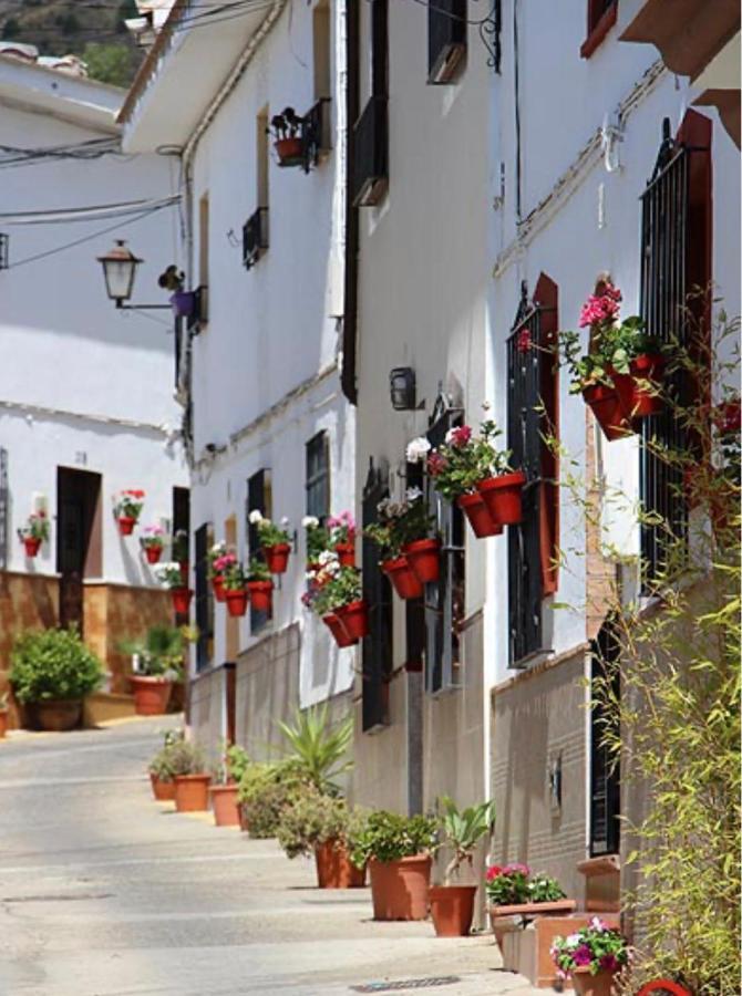 Mirasierrahome... Tu Hogar De Vacaciones! Álora Kültér fotó
